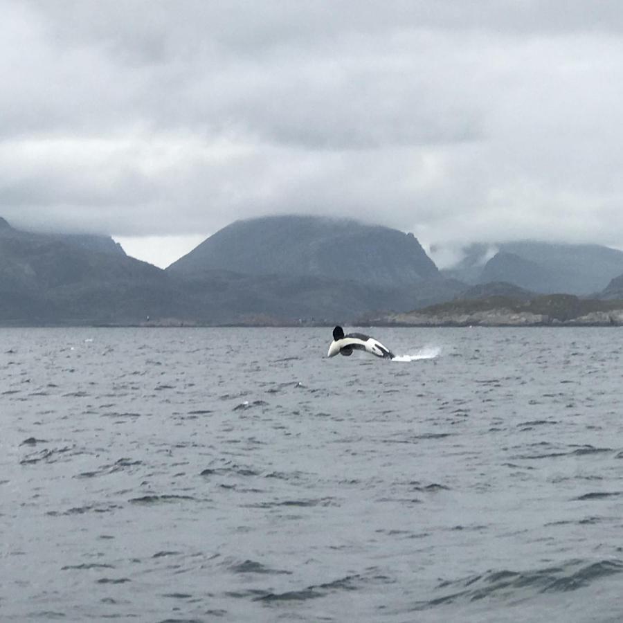 Fishermans Rorbu 2 - Lofoten Ramberg Exterior photo